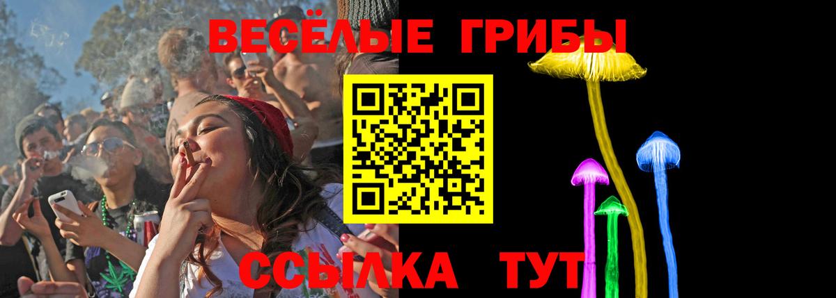 Галлюциногенные грибы прущие грибы  Вход с VPN  Галлюциногенные грибы Psilocybine cubensis  Янаул 